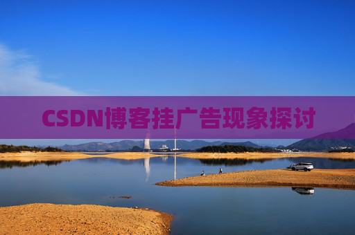 CSDN博客挂广告现象探讨